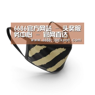 成人布口罩