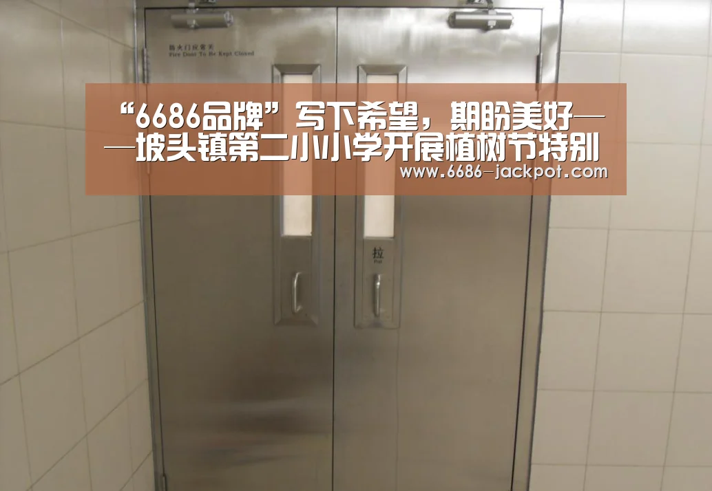 6686体验