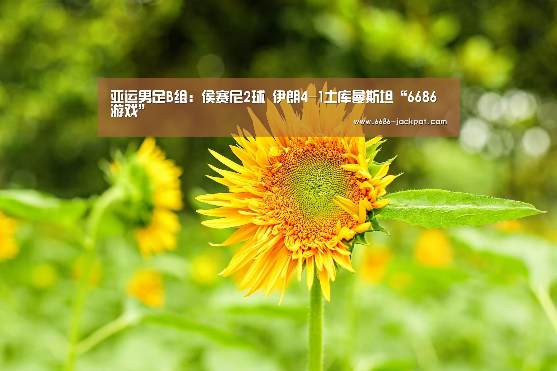 亚运男足B组:侯赛尼2球 伊朗4-1土库曼斯坦“6686游戏”(图3) 6686体验