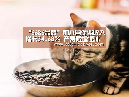 “6686品牌”前八月保费收入增长34.68% 产寿险增速冰火两重天(图1) 6686品牌