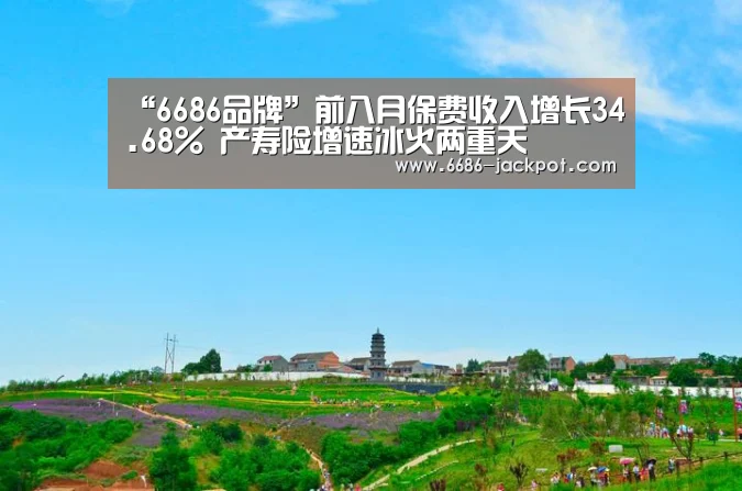 “6686品牌”前八月保费收入增长34.68% 产寿险增速冰火两重天(图3) 6686品牌