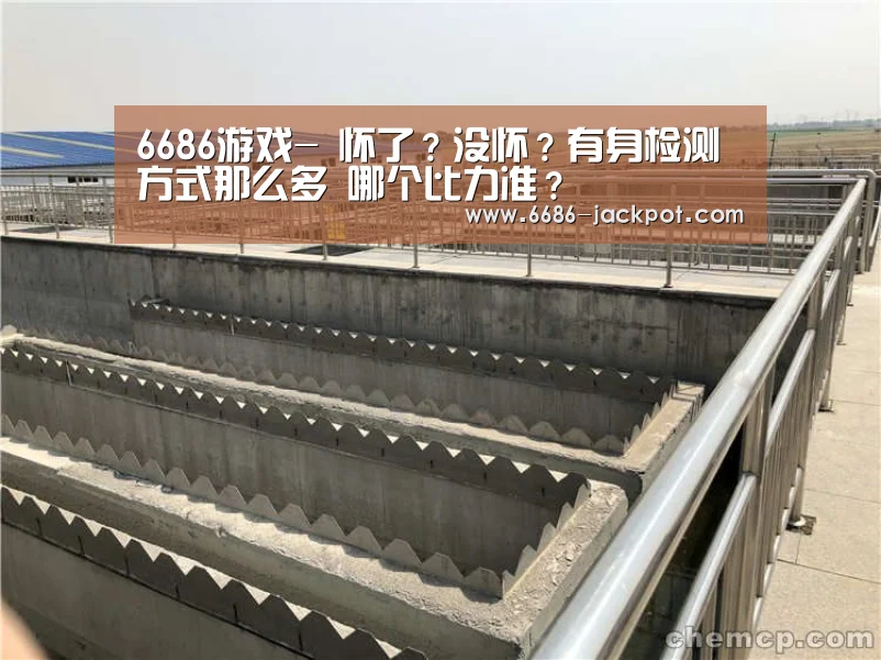 6686游戏-
怀了?没怀?有身检测方式那么多 哪个比力准?(图1) 6686推荐