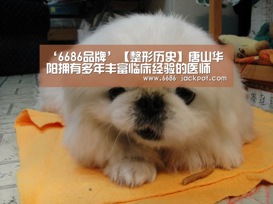 ‘6686品牌’【整形历史】唐山华阳拥有多年丰富临床经验的医师(图3) 6686游戏