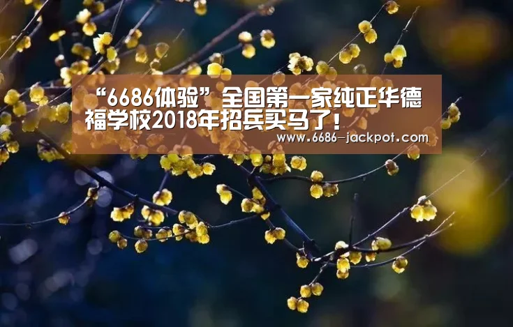 “6686体验”全国第一家纯正华德福学校2018年招兵买马了!(图3) 6686品牌