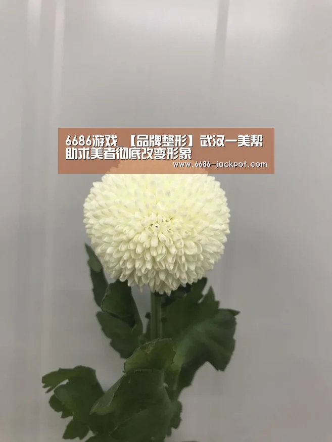 6686游戏_【品牌整形】武汉一美帮助求美者彻底改变形象(图3) 6686体验