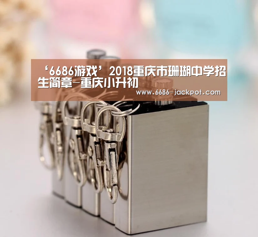 6686体验