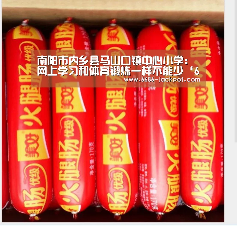 南阳市内乡县马山口镇中心小学:网上学习和体育锻炼一样不能少‘6686品牌’(图1) 6686品牌