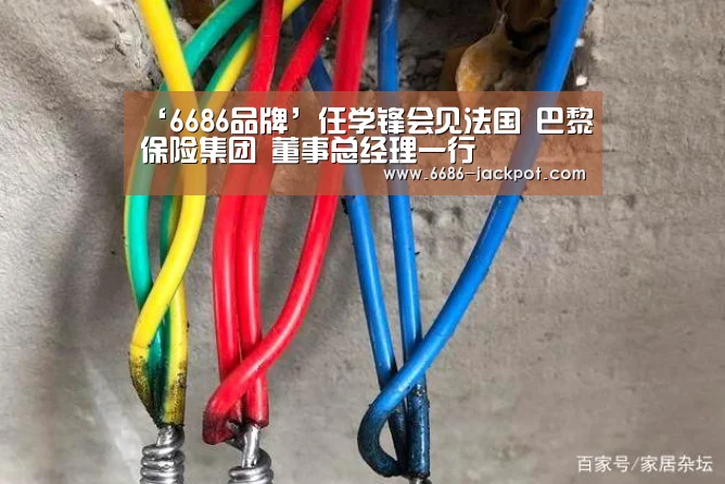 6686品牌