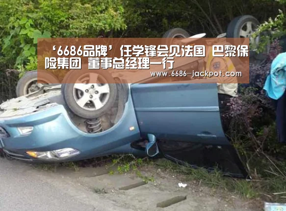 6686品牌