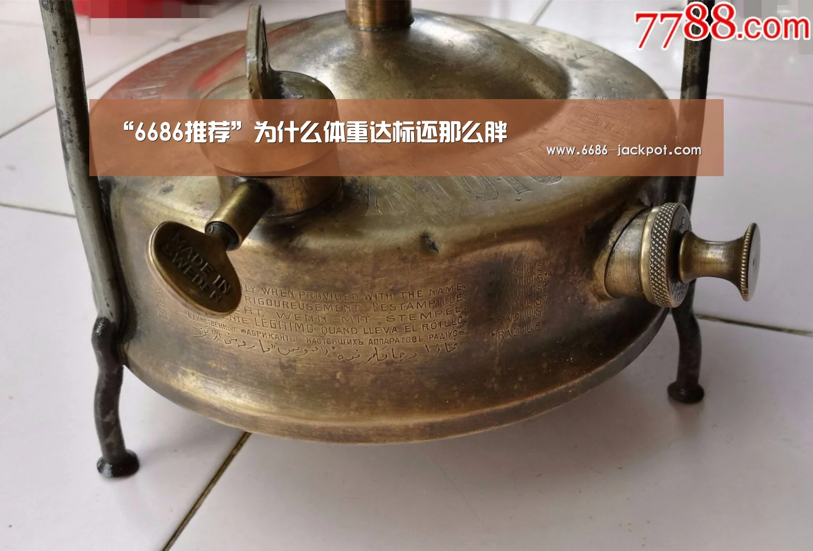 “6686推荐”为什么体重达标还那么胖(图1) 6686体验