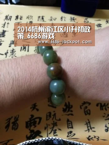 6686品牌