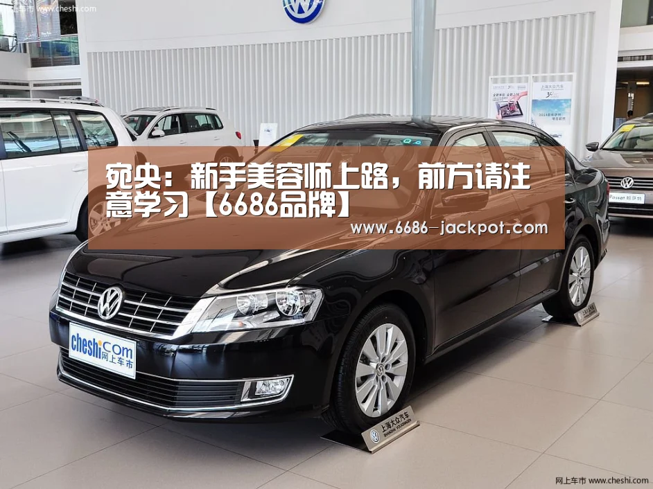 宛央:新手美容师上路,前方请注意学习【6686品牌】(图4) 6686品牌