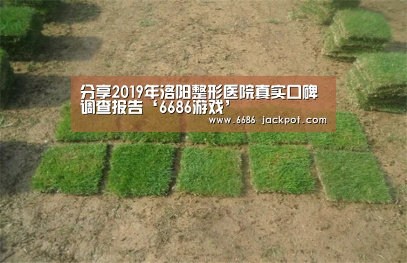 分享2019年洛阳整形医院真实口碑调查报告‘6686游戏’(图3) 6686推荐