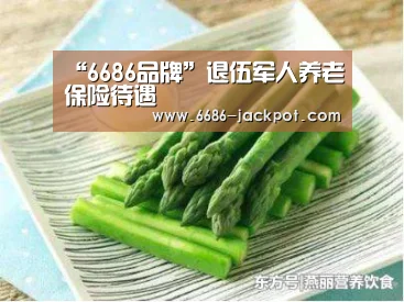 6686推荐