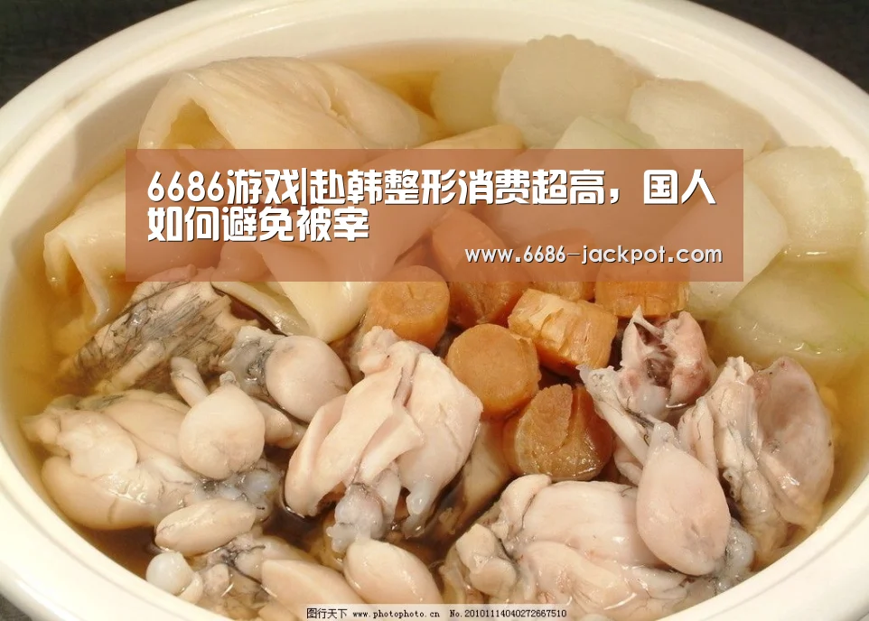 6686体验