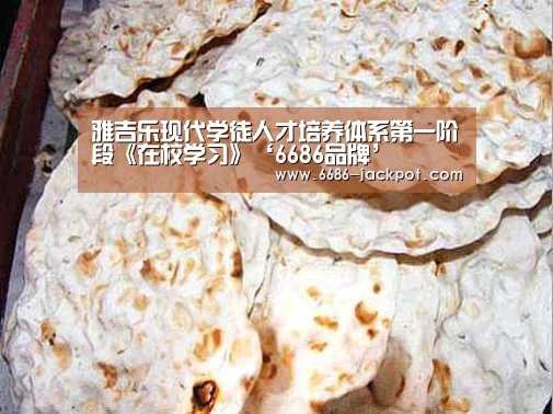 雅吉乐现代学徒人才培养体系第一阶段《在校学习》‘6686品牌’(图1) 6686游戏