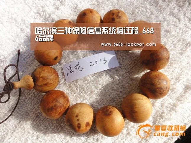哈尔滨三种保险信息系统将迁移_6686品牌(图1) 6686游戏