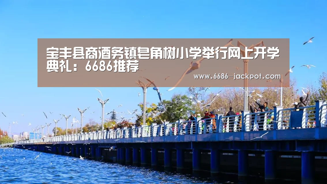 宝丰县商酒务镇皂角树小学举行网上开学典礼:6686推荐(图3) 6686体验