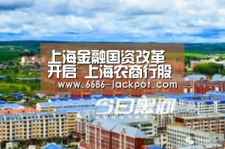 上海金融国资改革开启 上海农商行股权花落谁家待解【6686游戏】(图4) 6686体验