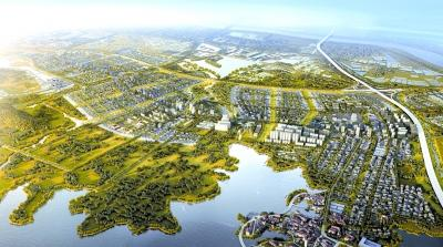 6686体验